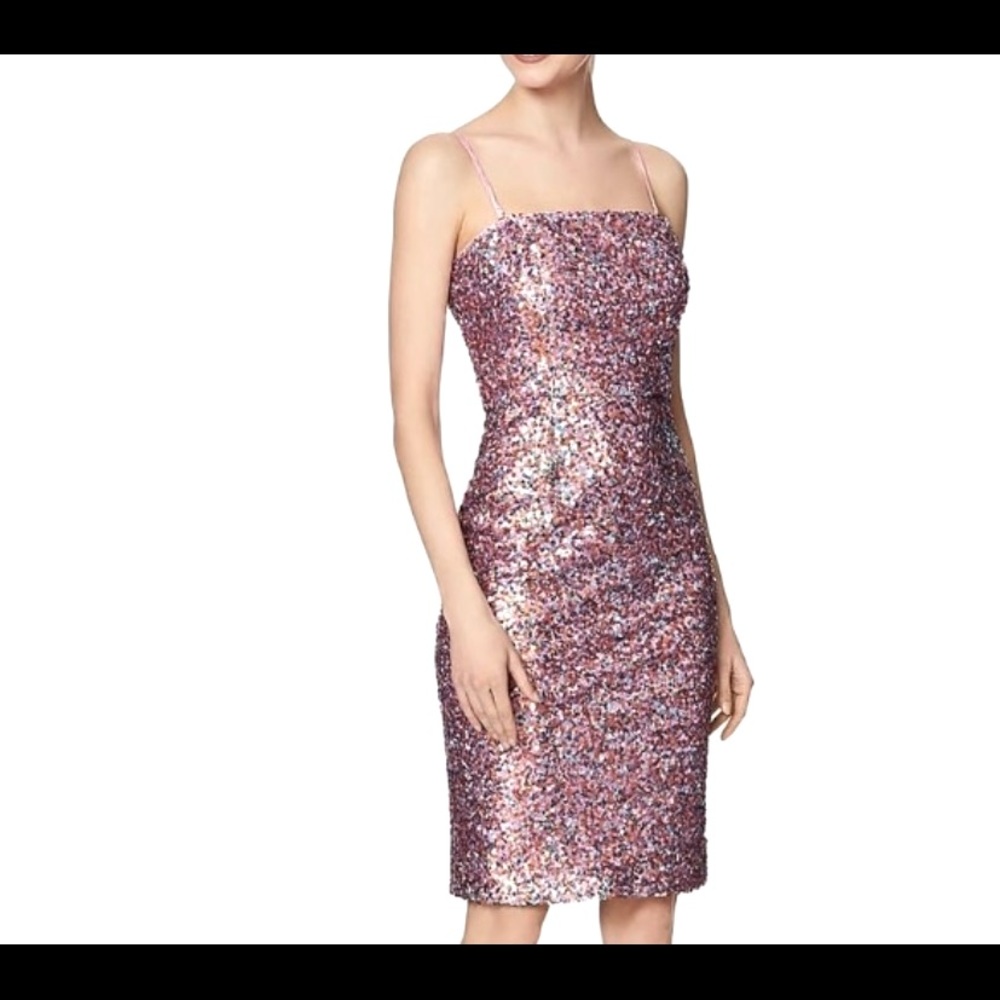Stunning Sequins Dress